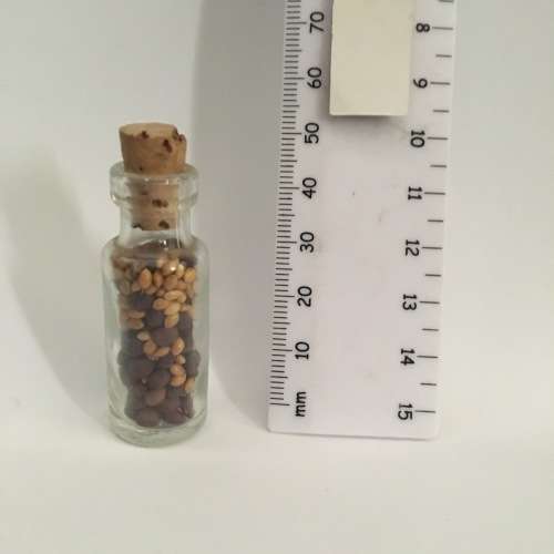 Miniature Glass Bottle of Seeds